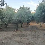 Lamia Giulia Σπίτι διακοπών Ostuni