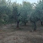 Lamia Giulia *