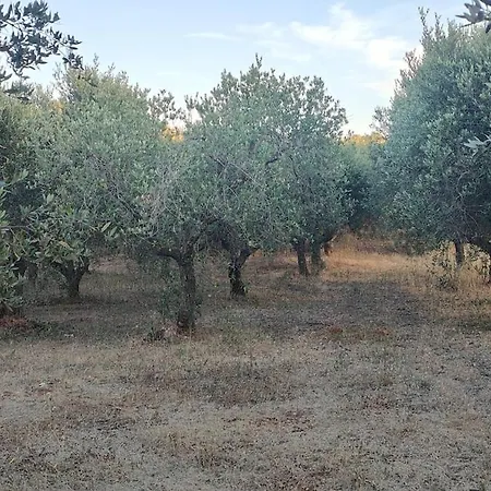 Lamia Giulia Ferienhaus Ostuni