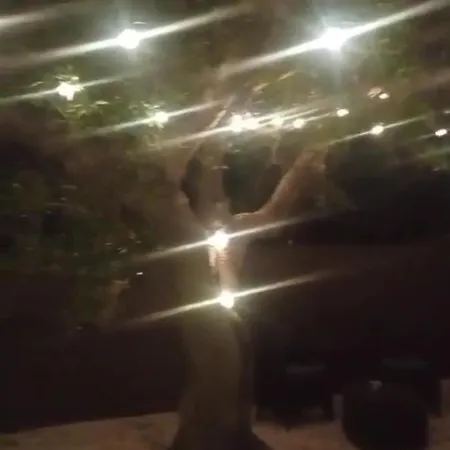 Lamia Giulia Ferienhaus Ostuni