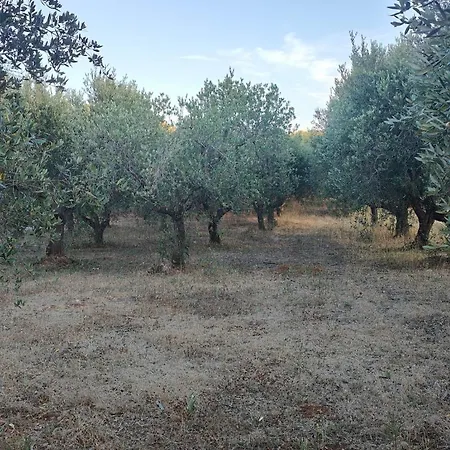 Lamia Giulia