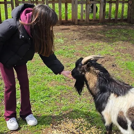 Ferienhaus Lamia Giulia