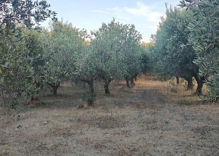 Lamia Giulia Ferienhaus Ostuni