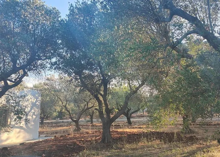 Lamia Giulia Ferienhaus