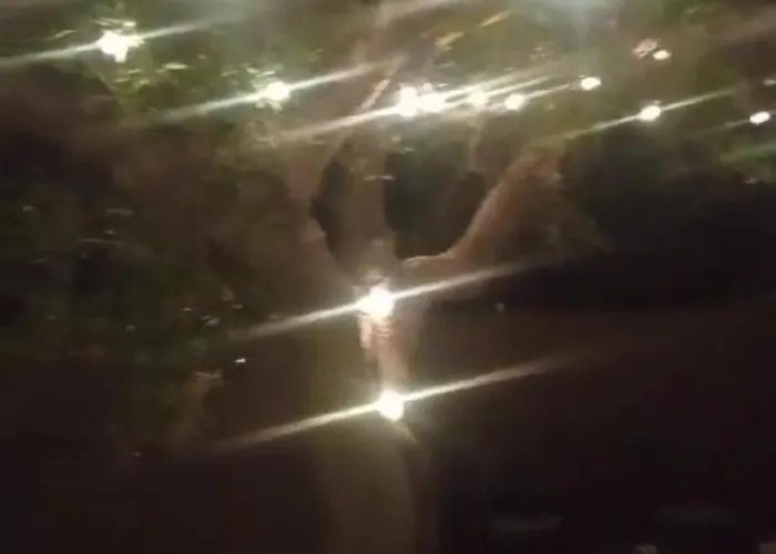 Lamia Giulia Ferienhaus Ostuni