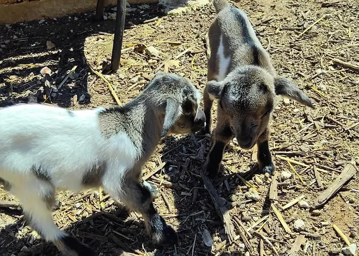 Lamia Giulia Vakantiehuis *