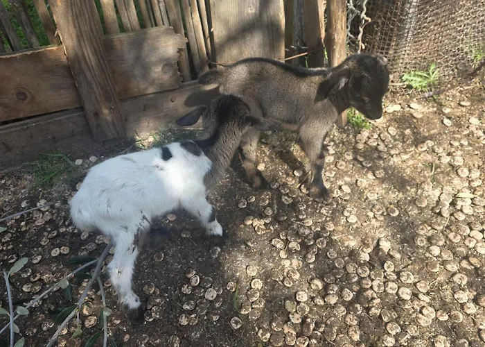 Ferienhaus Lamia Giulia Ostuni