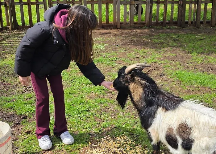 Ferienhaus Lamia Giulia